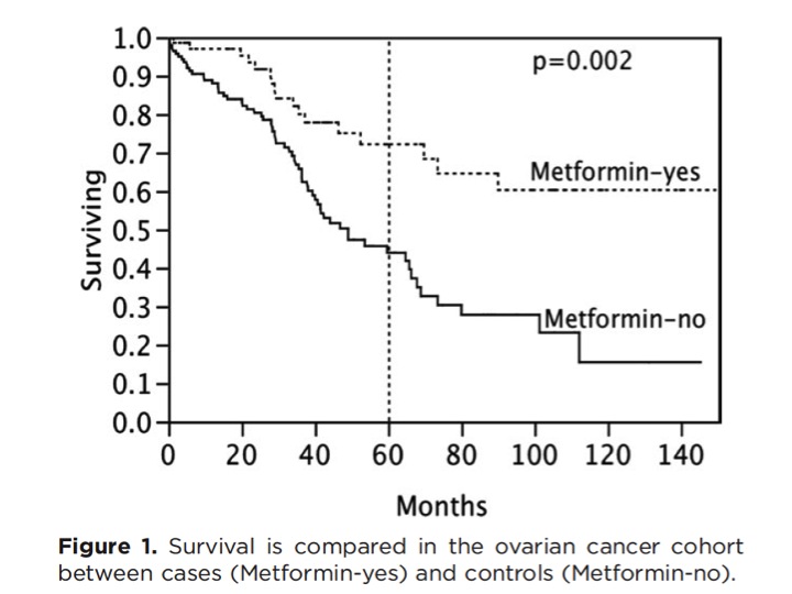 metformin cancer treatment com metformin cancer treatment com